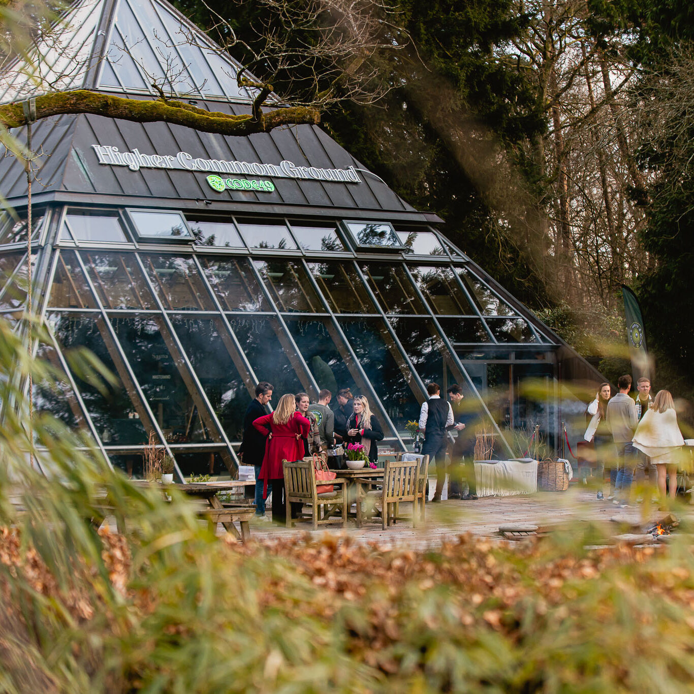 The Field - Outdoor Area